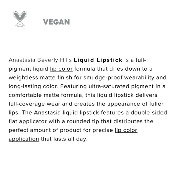 HUDSON Anastasia Beverly Hills Liquid Lipstick Faded Terracotta Matte ABH Beauty - Picture 8 of 10